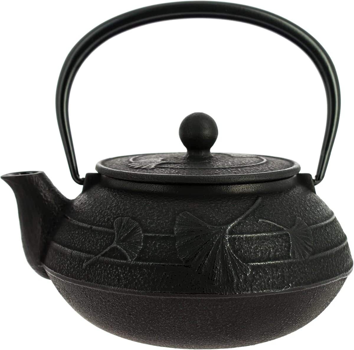 Test : iwachu Nanbu Tekki théière japonaise Gingko Noir 650 ml