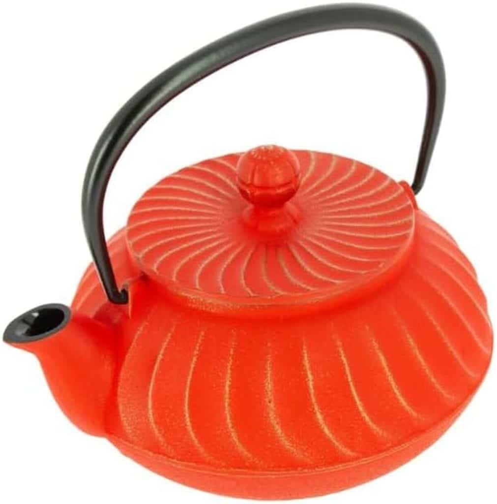 Test de la théière Iwachu Nami : élégance japonaise en fonte